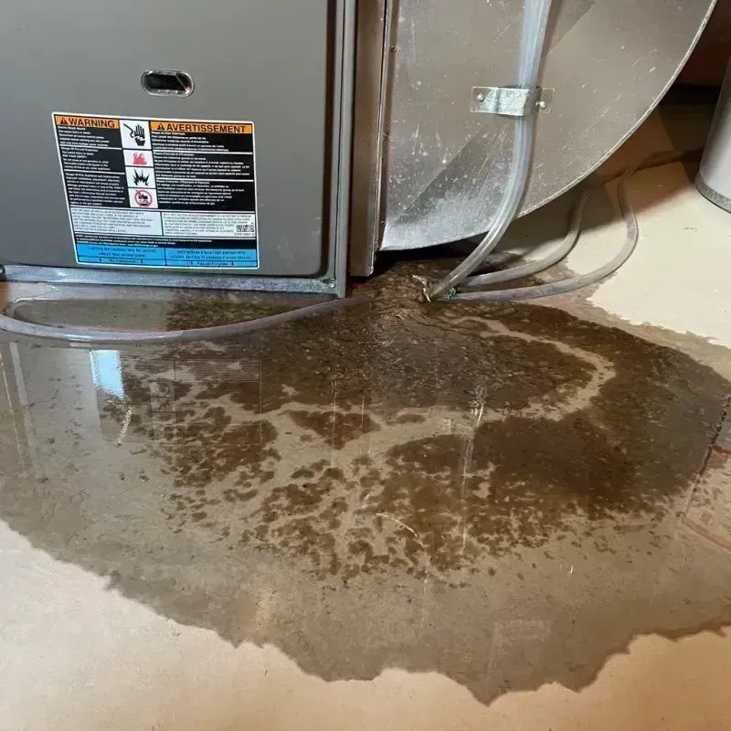 Appliance Leak Cleanup in Three Oaks, MI